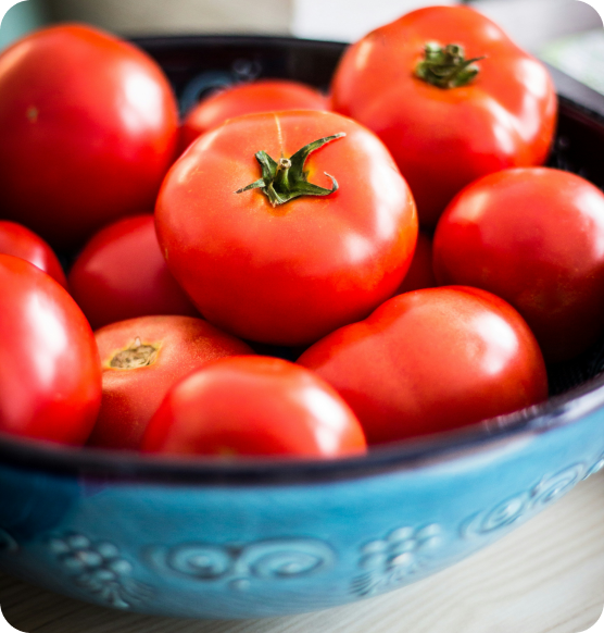 Fresh tomatoes in a bowl, used for Myasthenia Gravis-friendly minestrone soup